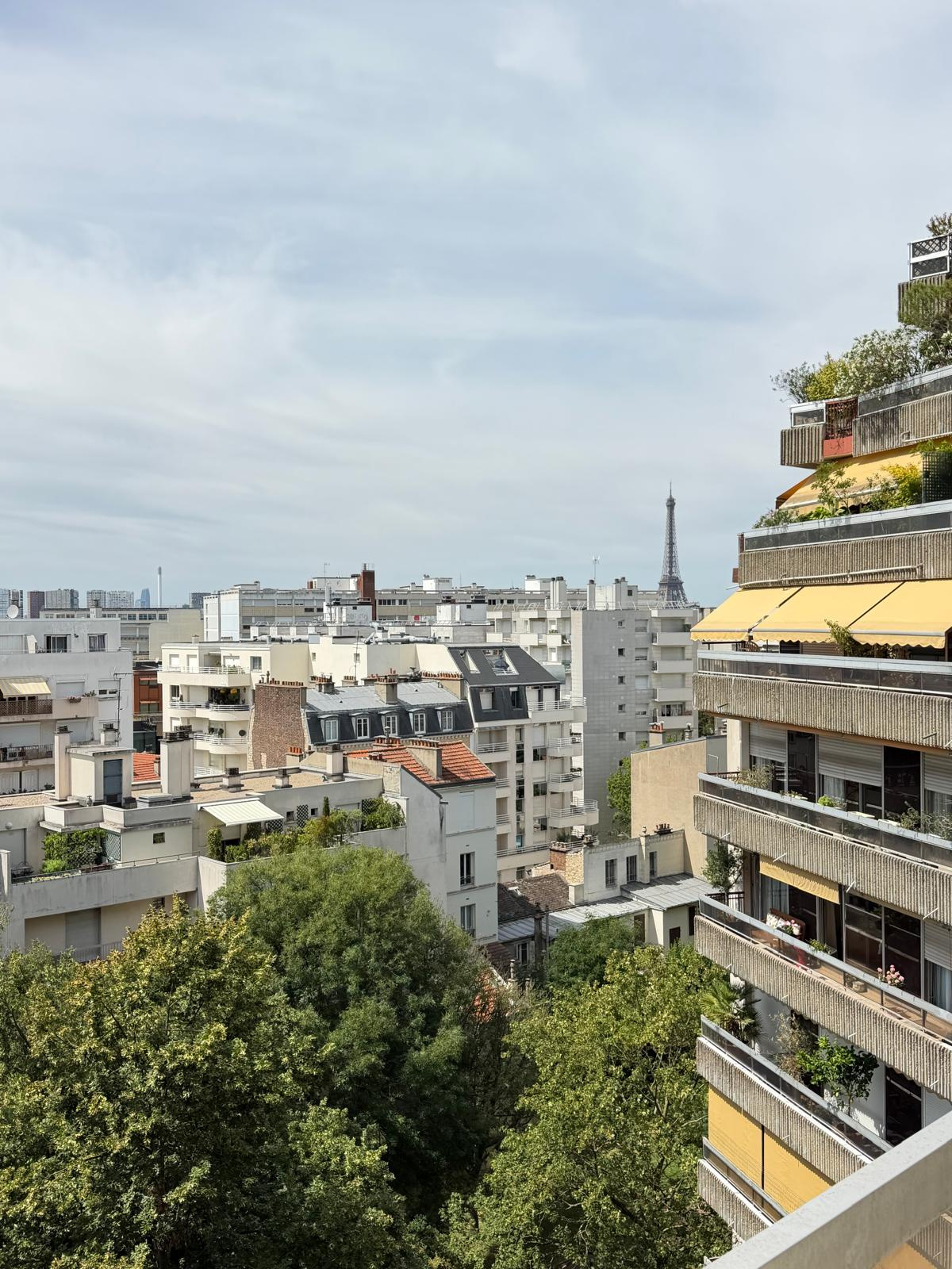 Studio avec terrasse, vue Tour Eiffel - Saint- Lambert paris 15